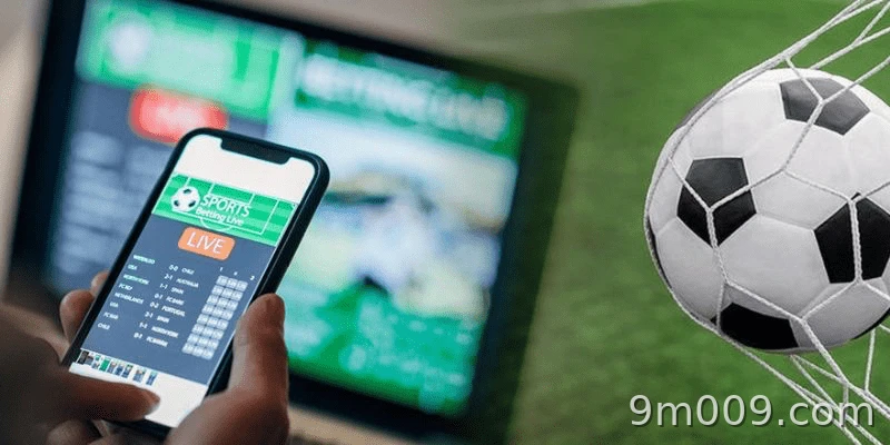 What is odd/even betting? A clear explanation before betting